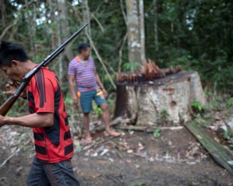 Illegal logging in Brazil turns Amazon into a powder keg