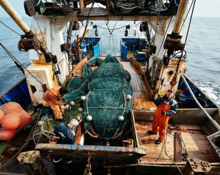 New risks and opportunities for fishing industry with climate change